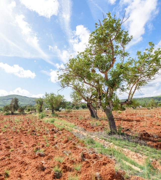 WEB RES-plotesnovells-8.jpg